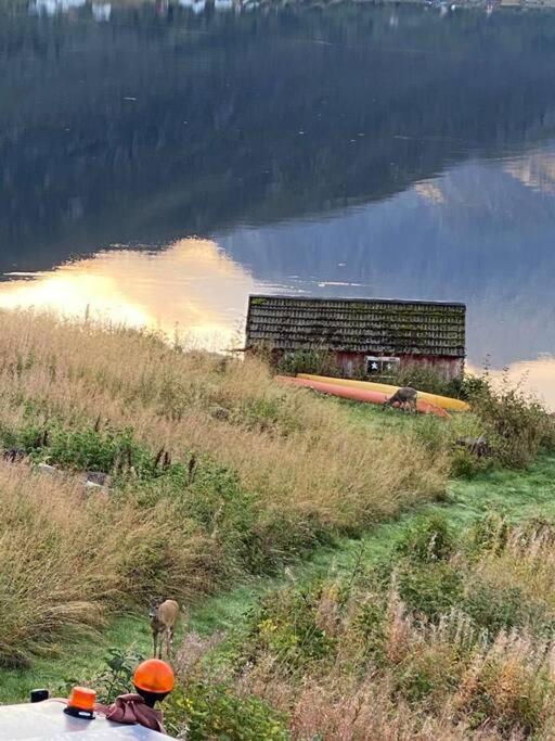 Sjarmerende Anneks I Sigerfjord, Vesteralen Sortland Exterior foto
